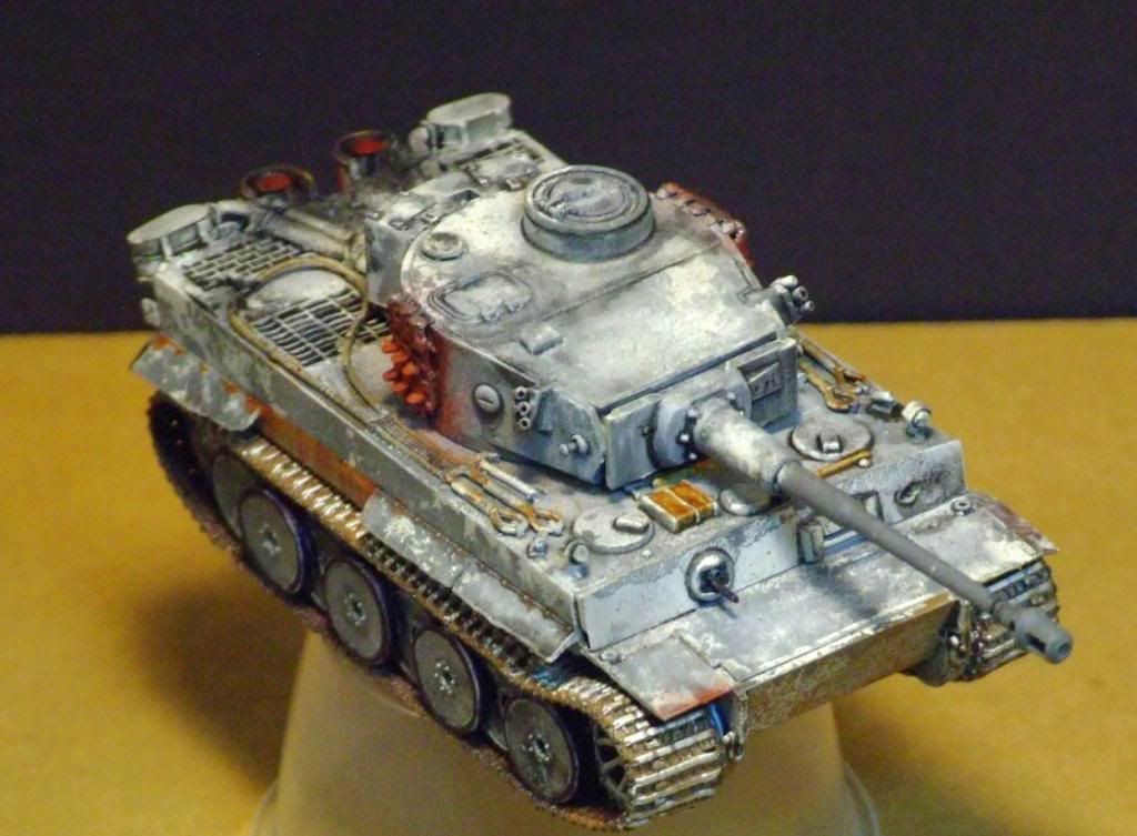 172TigerCompletedRESIZED044_zps3fee60bf.jpg