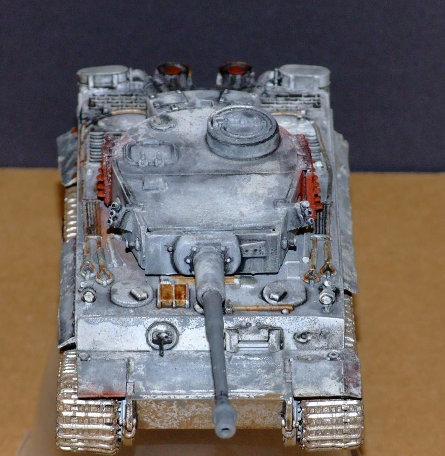 172TigerCompletedRESIZED054_zps73849c98.jpg