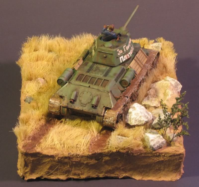 T-3476800xxxx14.jpg
