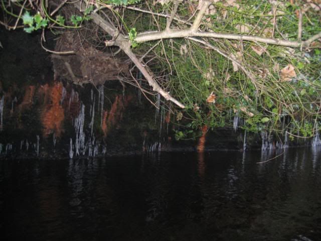 Rivelin2009003.jpg