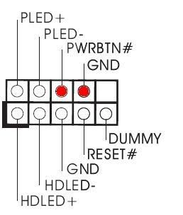 panel.jpg