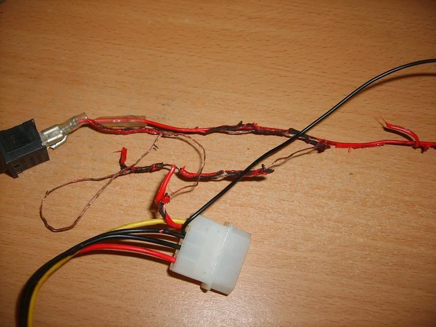 S5000631.jpg