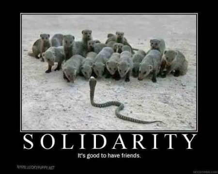 SOLIDARITY