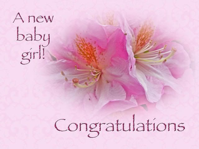 congratulations-new-baby-girl--azaleas-c