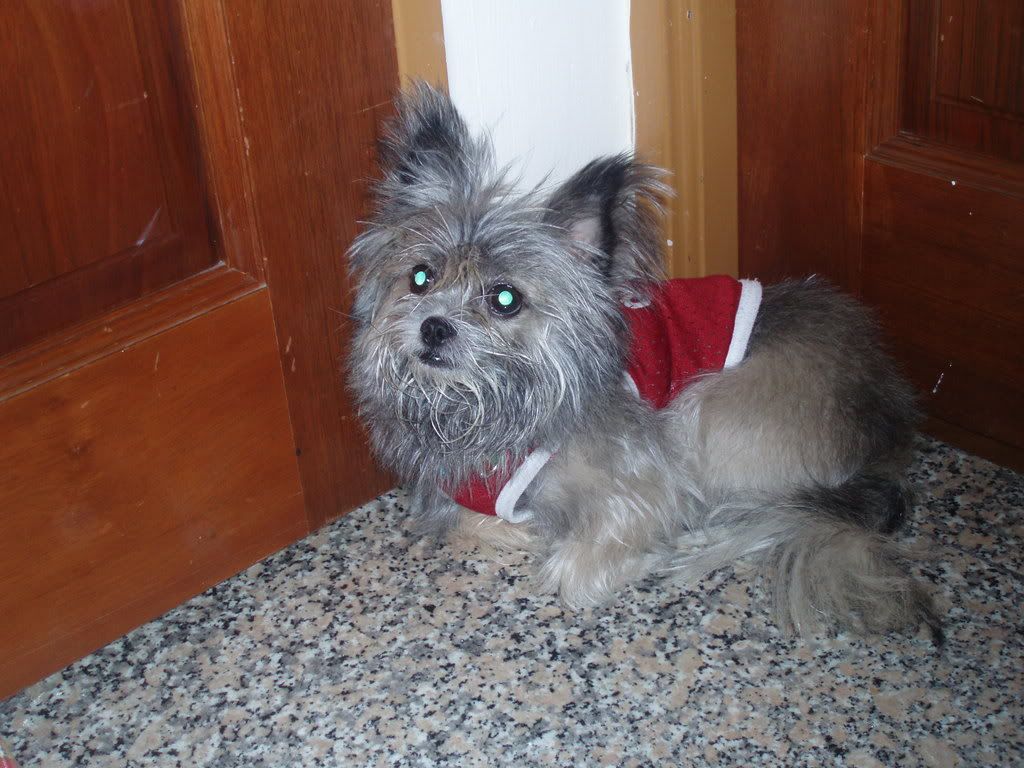 Photobucket - Video and Image Hosting