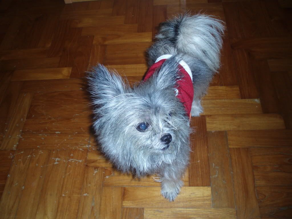 Photobucket - Video and Image Hosting