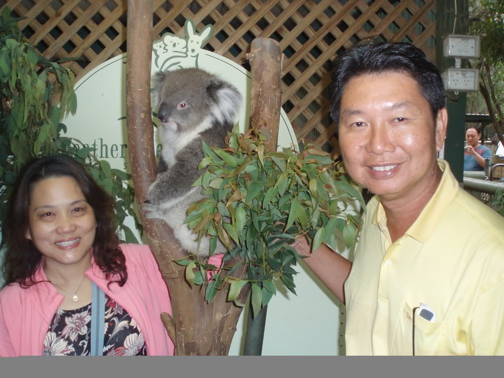 Photo Sharing and Video Hosting at Photobucket