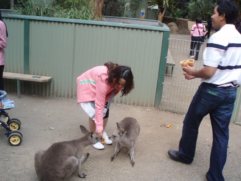 Photo Sharing and Video Hosting at Photobucket