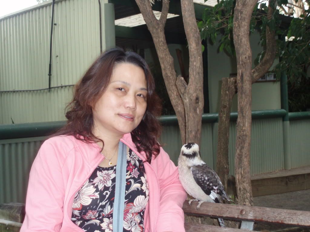 Photo Sharing and Video Hosting at Photobucket