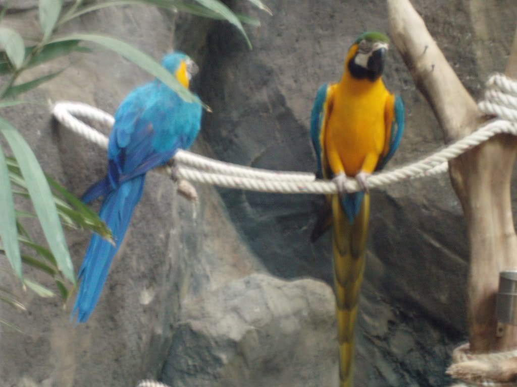 Photo Sharing and Video Hosting at Photobucket