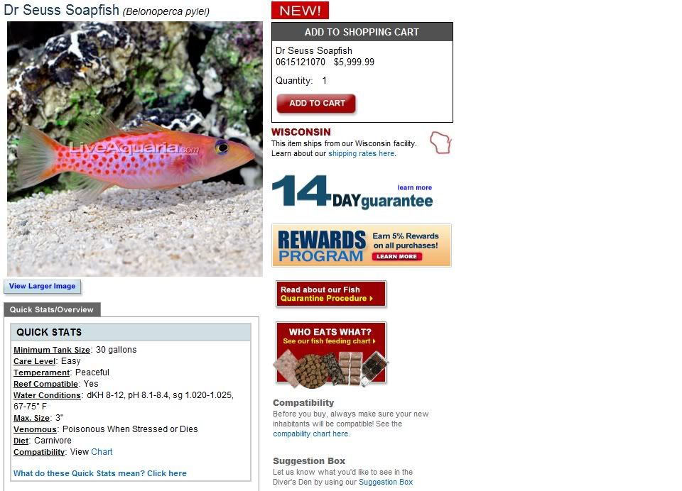 Holy I Thought Gem Tangs Were Expensive Reef Central Online Community,Sweetened Chestnut Puree