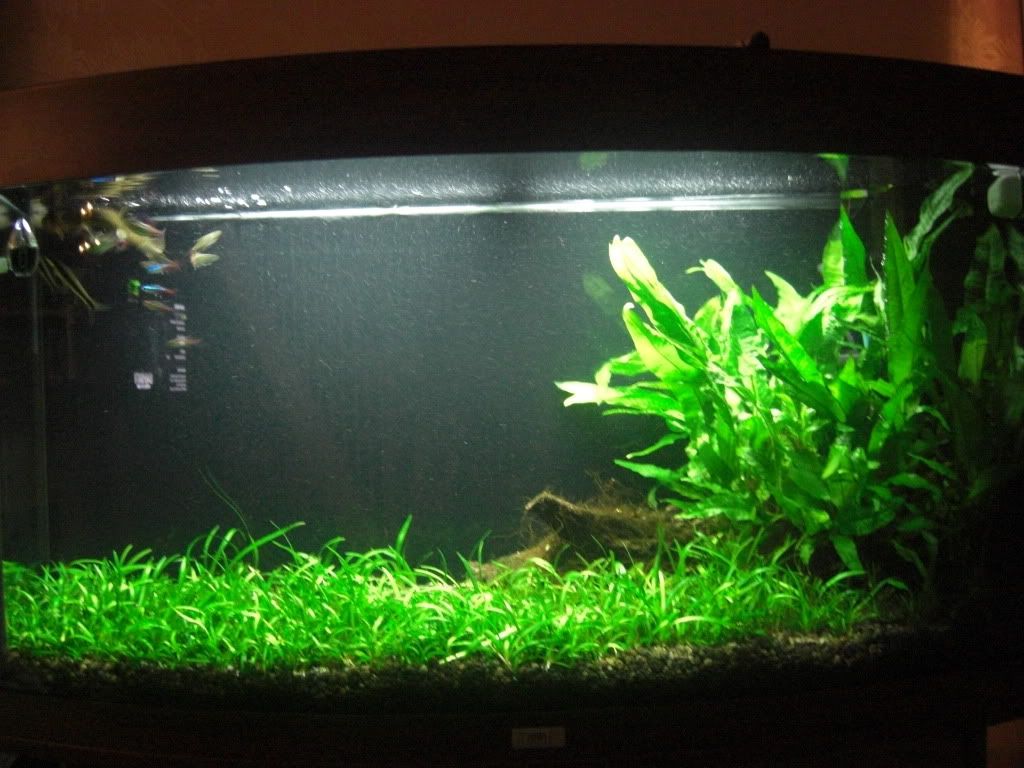 any fishkeepers here archive