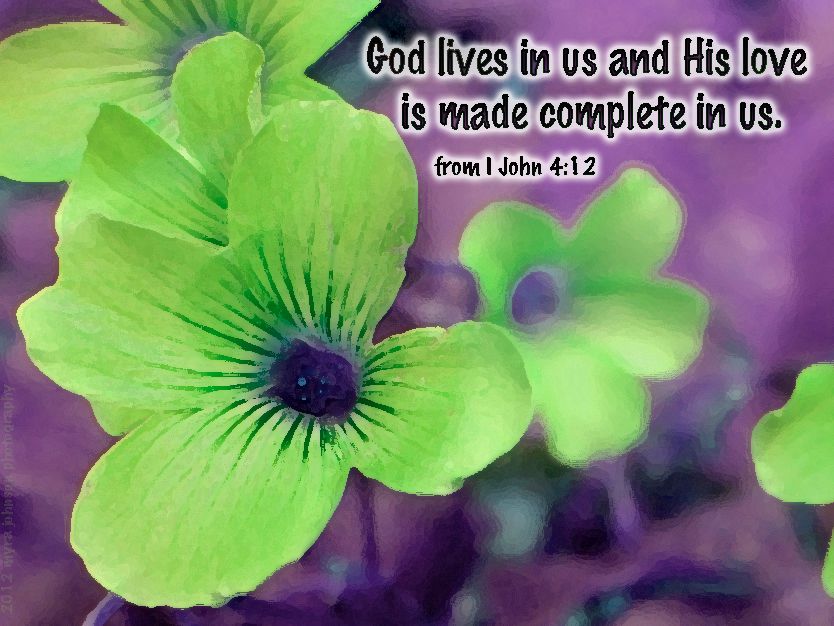 complete in him