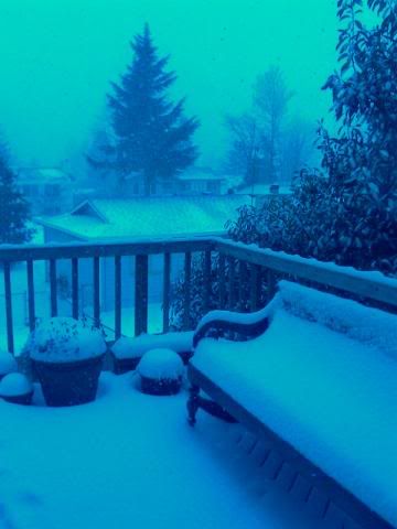 snow outside our deck in Renton