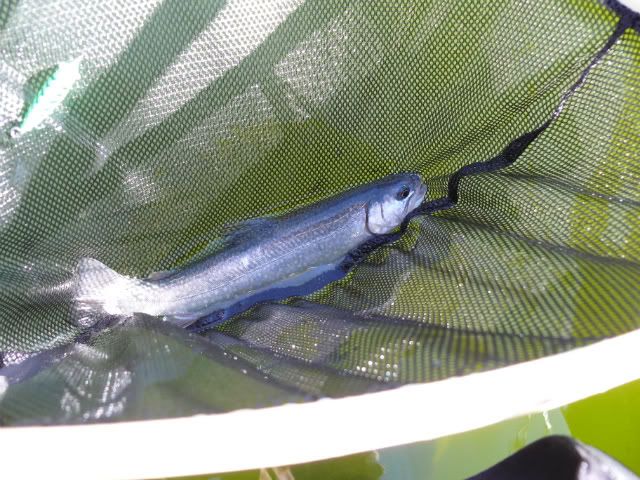 [Image: P1040869-1.jpg]