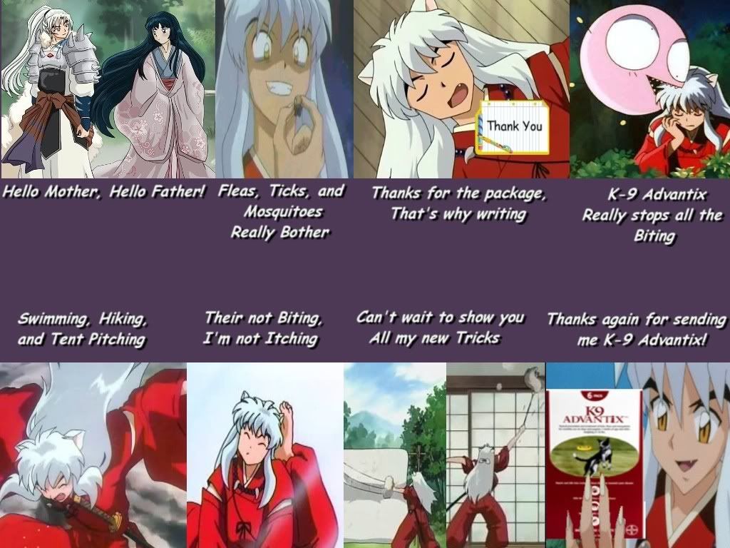 Inu-Yasha : Only InuYasha Funny