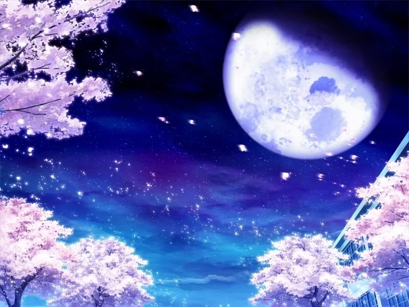 Cherry Blossom Moon Pictures, Images and Photos
