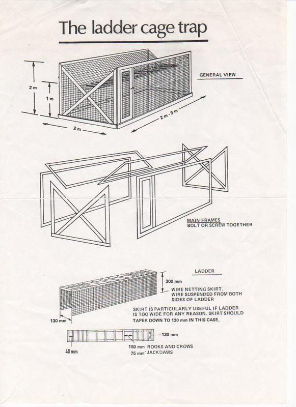 Ladder trap Page 2 Falconry Forum (IFF)