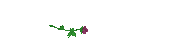 photo ATT00010-1.gif