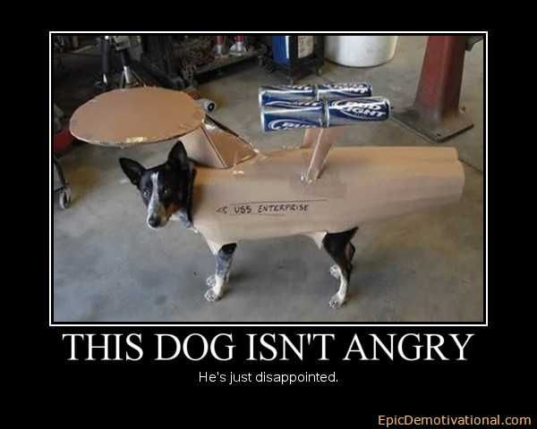 demotivational-posters-angry-dog_zps04b1