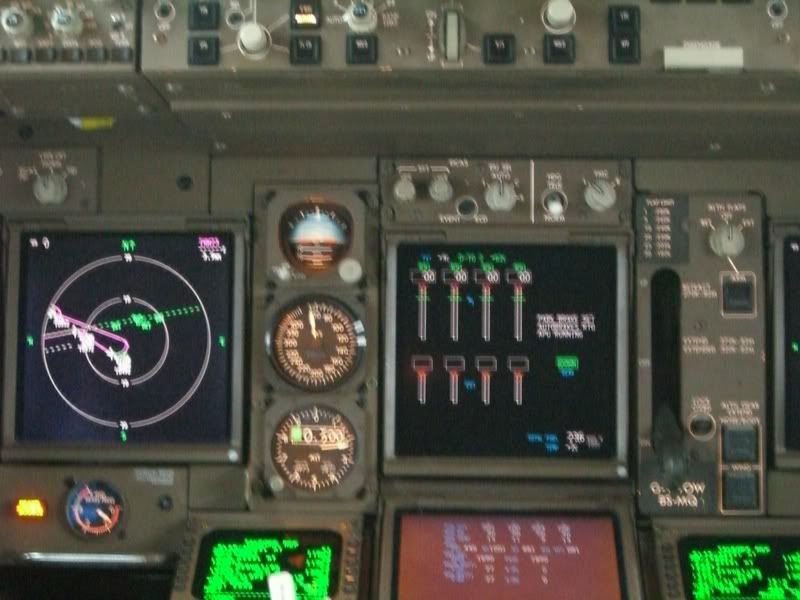 CIMG8789.jpg