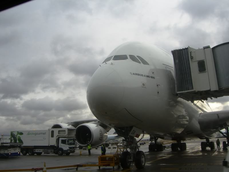 CIMG8809.jpg