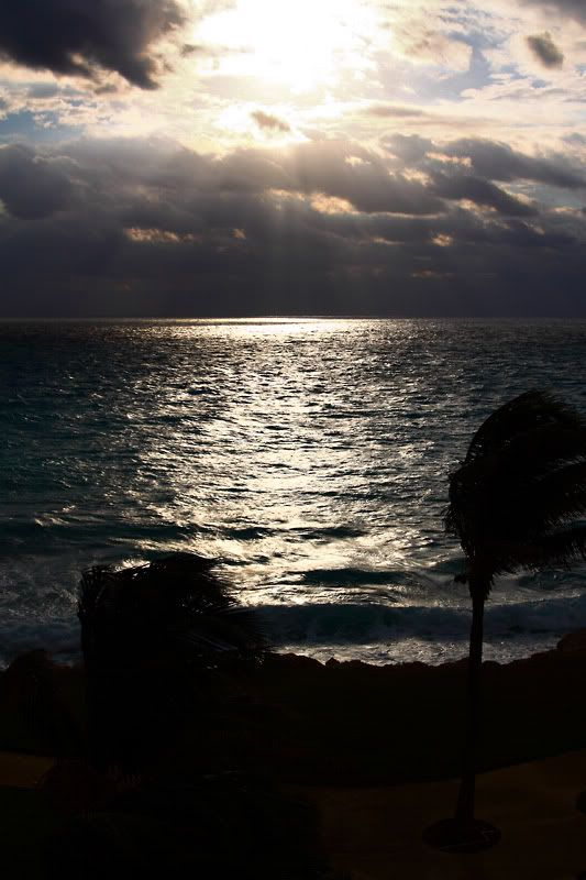 IMAGE: http://i160.photobucket.com/albums/t187/musiccuts/IMG_3690copy.jpg