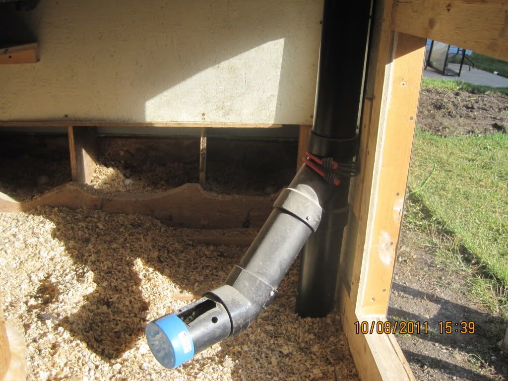 why wont they use their nest boxes? BackYard Chickens Learn How to