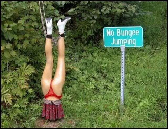 Bungee Funny Pictures, Images and Photos