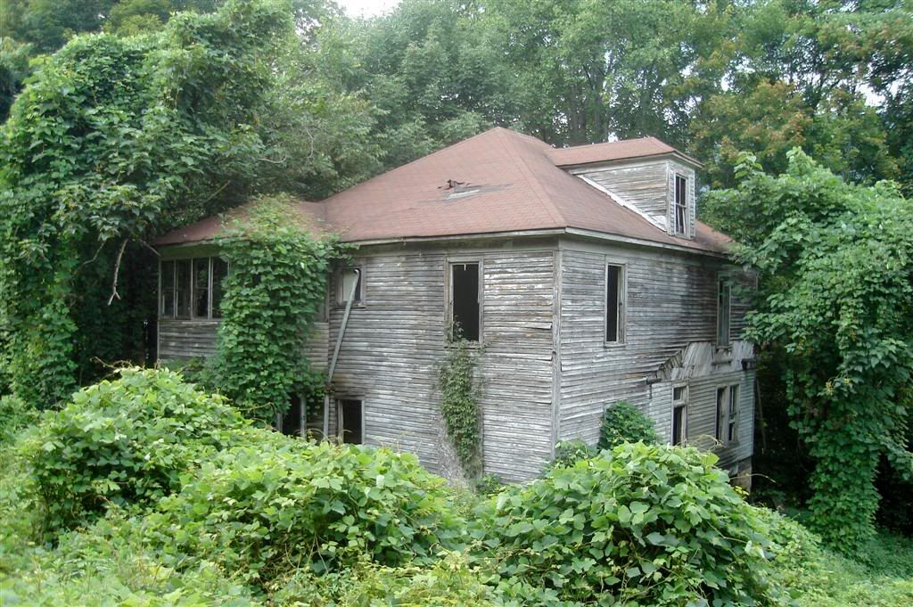 IMAGE: http://i160.photobucket.com/albums/t188/bogiepict/DSC00837Large.jpg