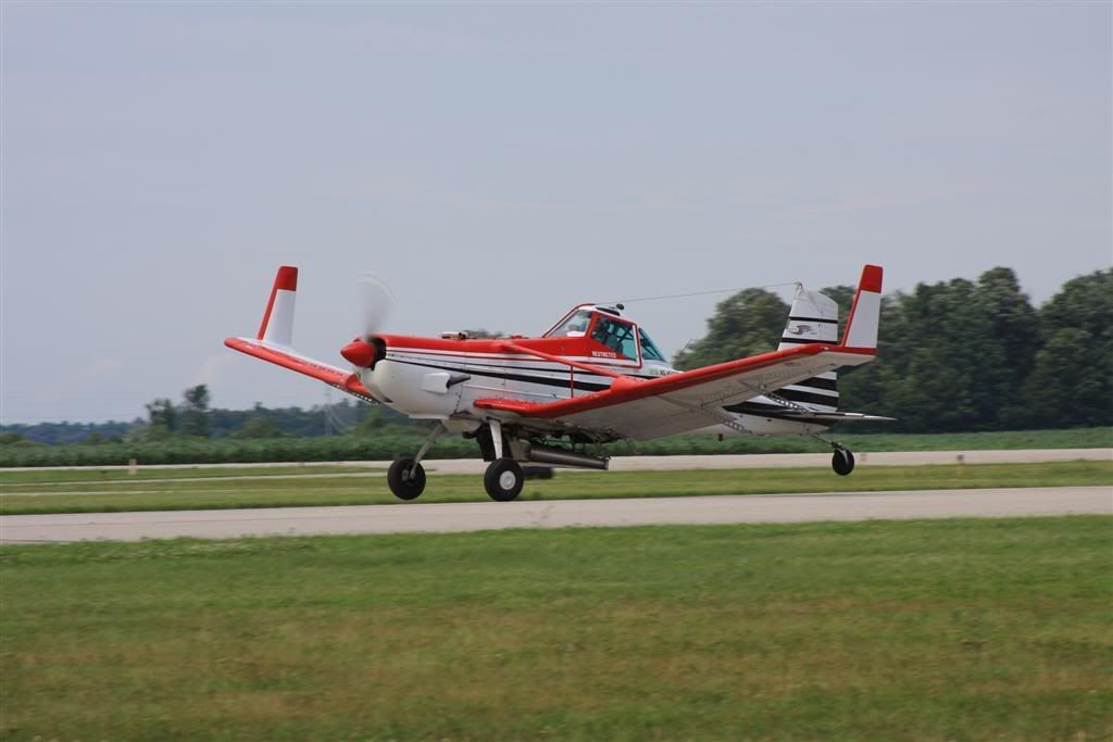 IMAGE: http://i160.photobucket.com/albums/t188/bogiepict/IMG_2216Large.jpg