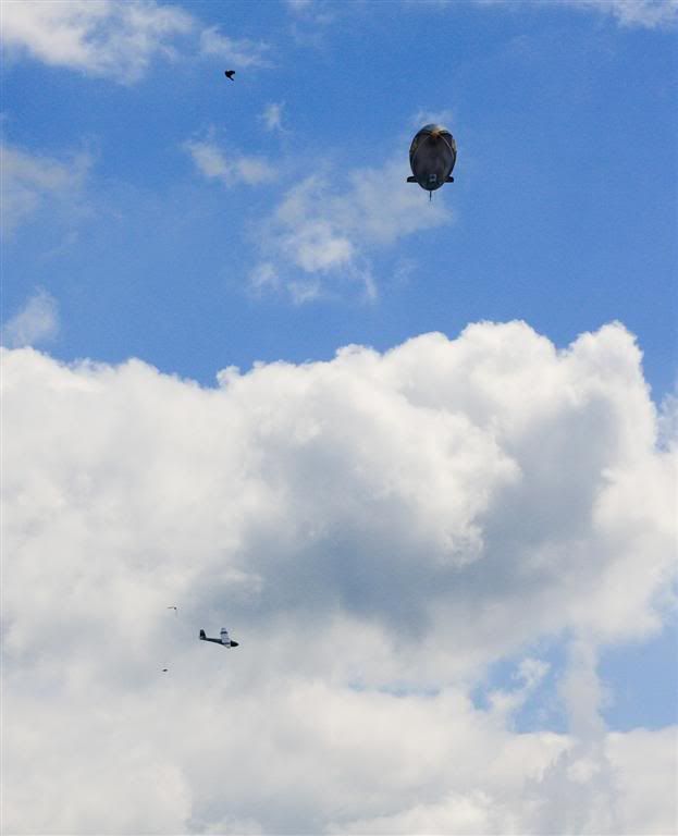 IMAGE: http://i160.photobucket.com/albums/t188/bogiepict/gliderandblimp2Large.jpg