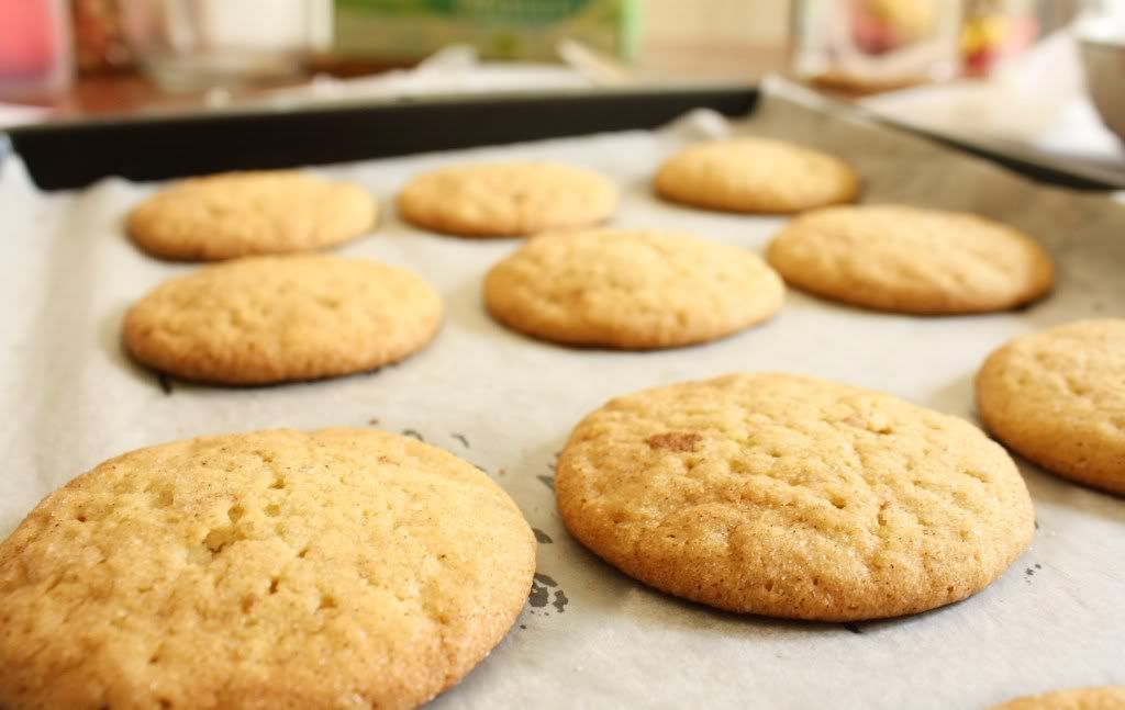 snickerdoodles2.jpg picture by classifiedramblings