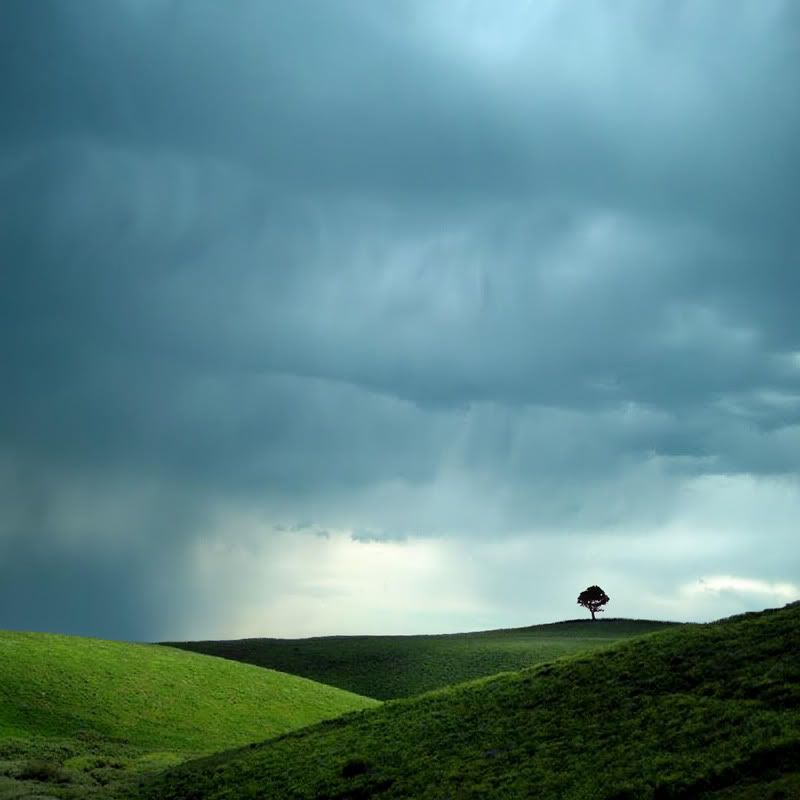 1175810960_in_paradisum_by_karezoid.jpg