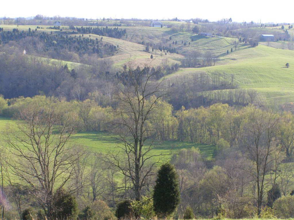 Kentucky Landscape (Foster Ky.) Photo by video2hunt Photobucket