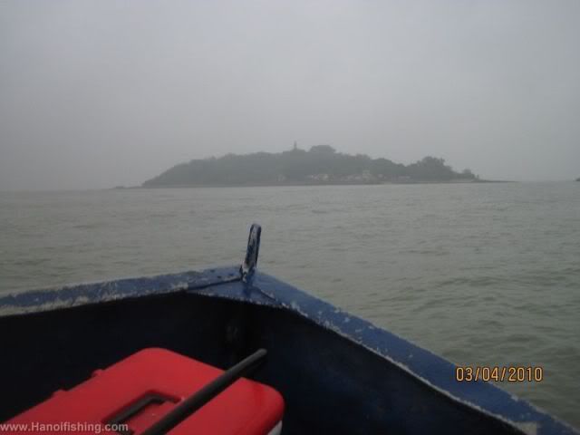 DaoDau.jpg