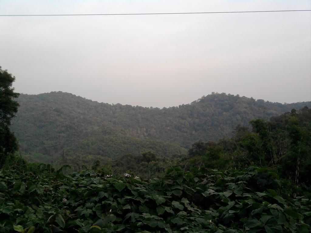 Đường đi Đà Lạt