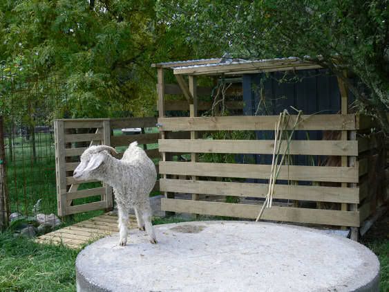 Housing large numbers of GoatsFloor'g Cleaning. 20 Apr 2008 21:38 