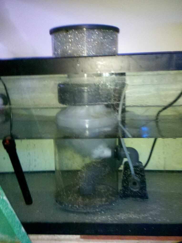 Euroreef Skimmer Information Help Michigan Reefers