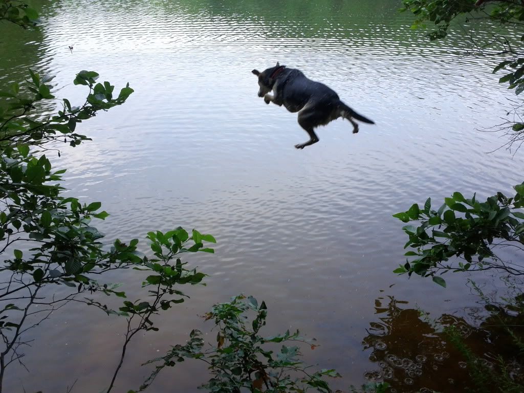 IMG_20110607_145815.jpg