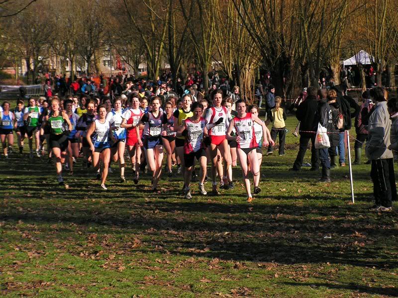 Pk11.jpg picture by KatrijnX