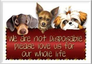 We are not Disposable