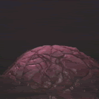 BRAIN.gif