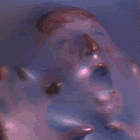 RoverVictim.gif