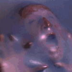 RoverVictim_zpsxppf6vui.gif