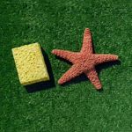 SpongebobAndPatrick_zpsfc8e5329.jpg