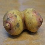amusingPotato_zpse2357072.jpg
