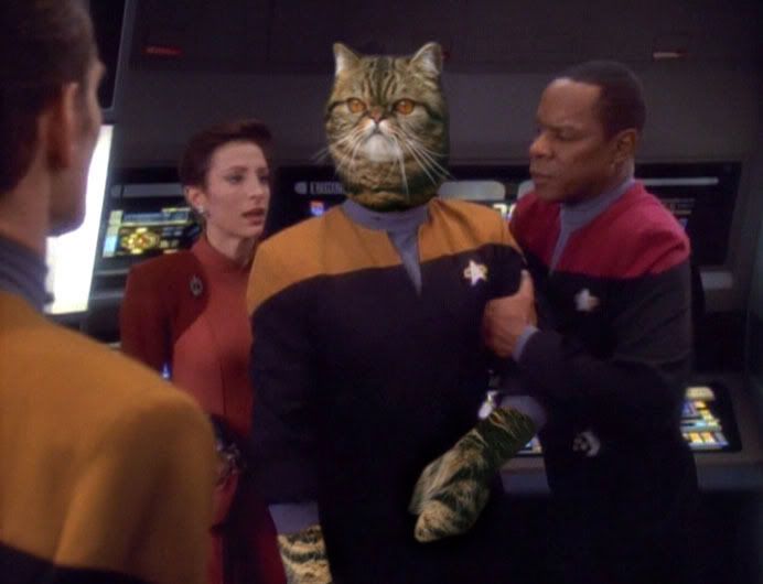 catian_obrien6.jpg