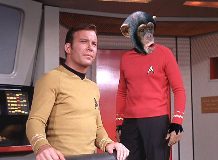 chief_engineer_chimp.jpg