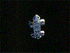 eagle2.gif